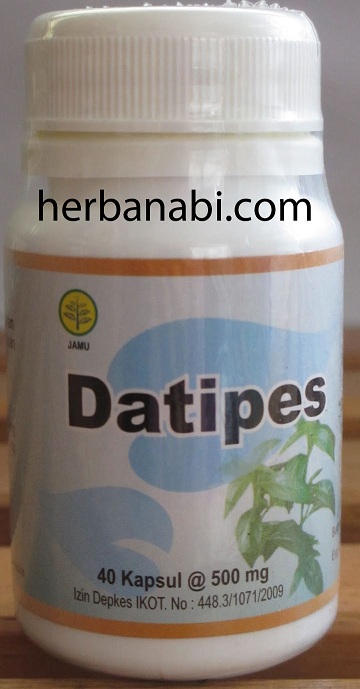 herbal untuk tipes surabaya_datipes