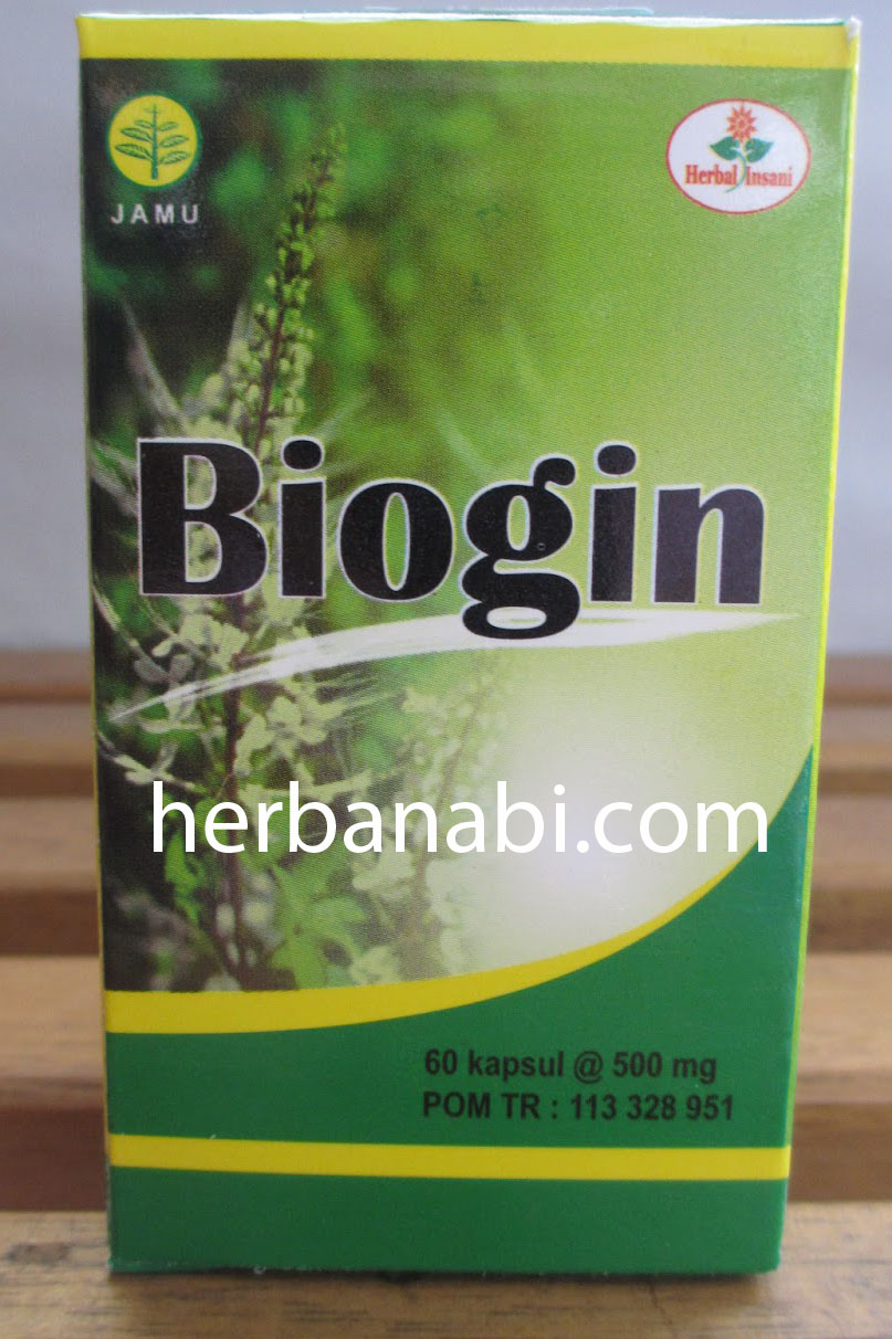 obat herbal batu ginjal BioGin