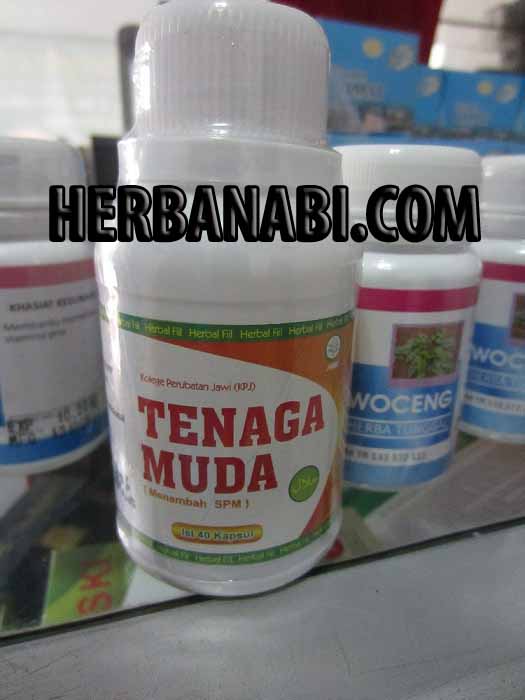 TENAGA MUDA  JUAL  Murah  Grosir Surabaya  Herbal 