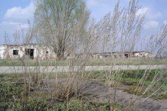 korban radiasi nuklir chernobyl