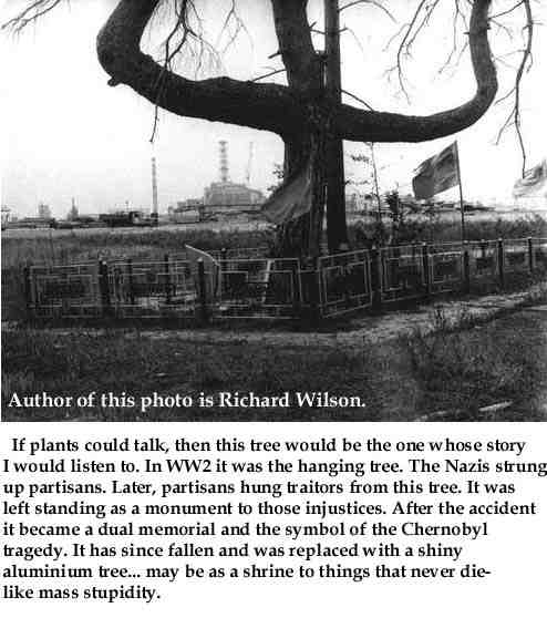 pohon cerita bencana chernobyl