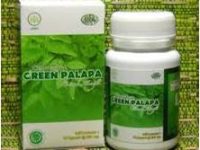 Green palapa Klorofil