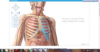 software anatomi 3 dimensi Visible Body