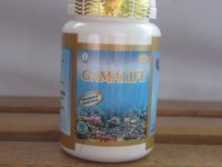 gamalife – Kapsul gamat emas tablet