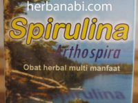 Spirulina Herbal Insani Surabaya