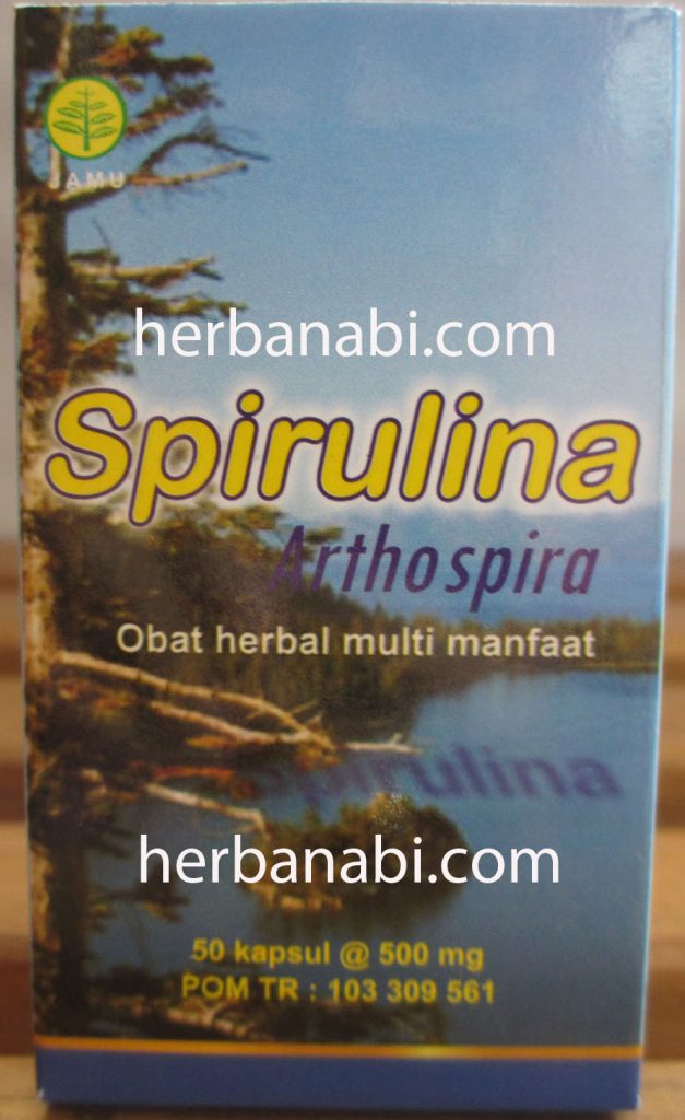 Spirulina herbal insani surabaya  jual  surabaya 
