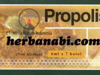 Propolis Melia Nature Indonesia