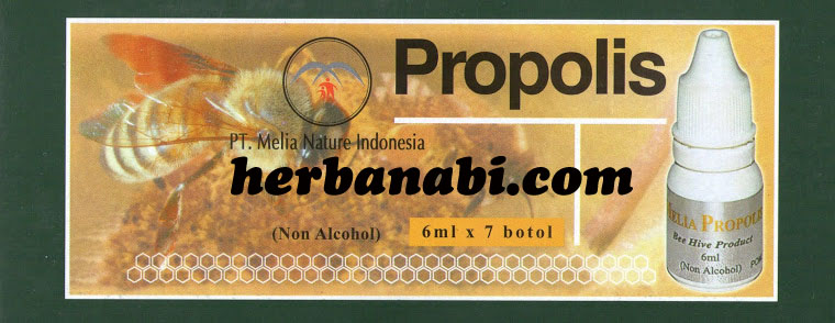 Propolis Melia Surabaya