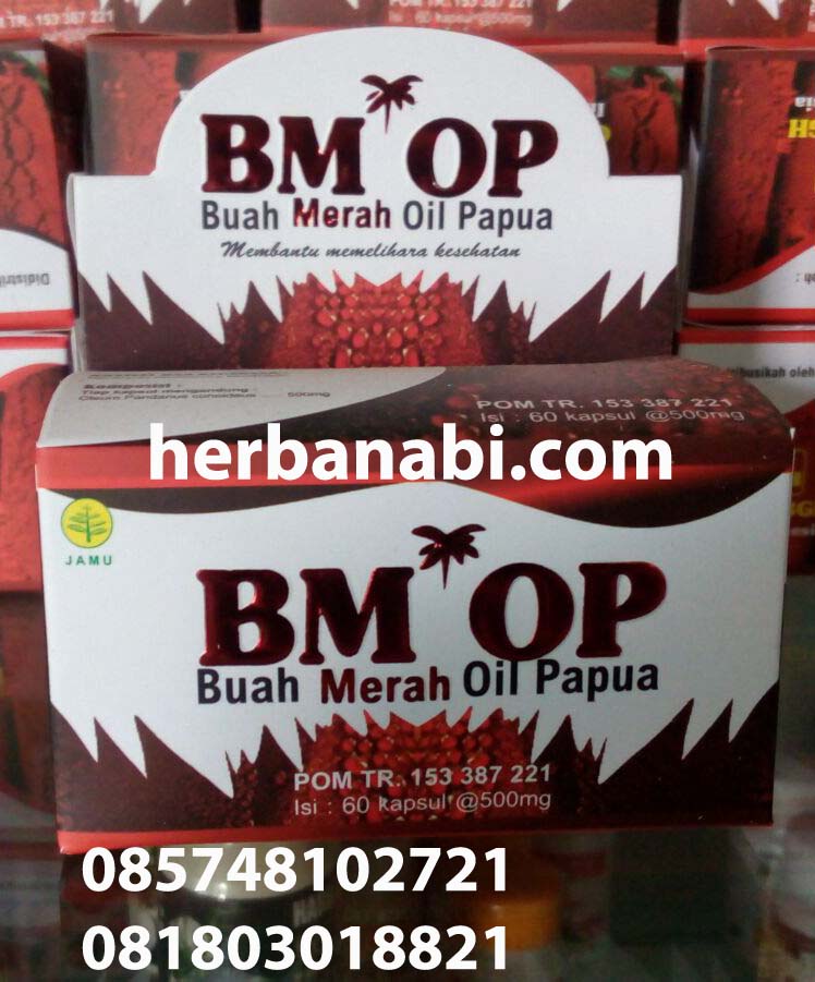 Distributor Buah Merah Oil Minyak Murah